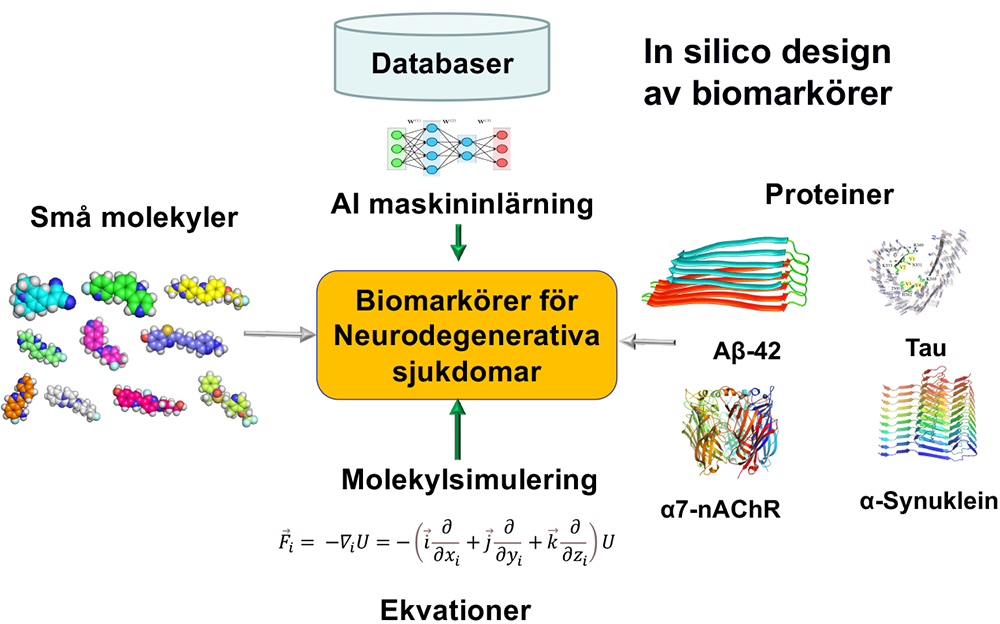 Teoretisk in silico design av nya PET biomarkörer.