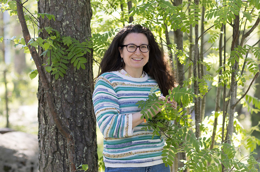 María Rosario García-Gils, forskare på SLU, arbetar med ett projekt för att skapa en snabbare och mer dynamisk trädförädlingsprocess. Foto: Lena Lee