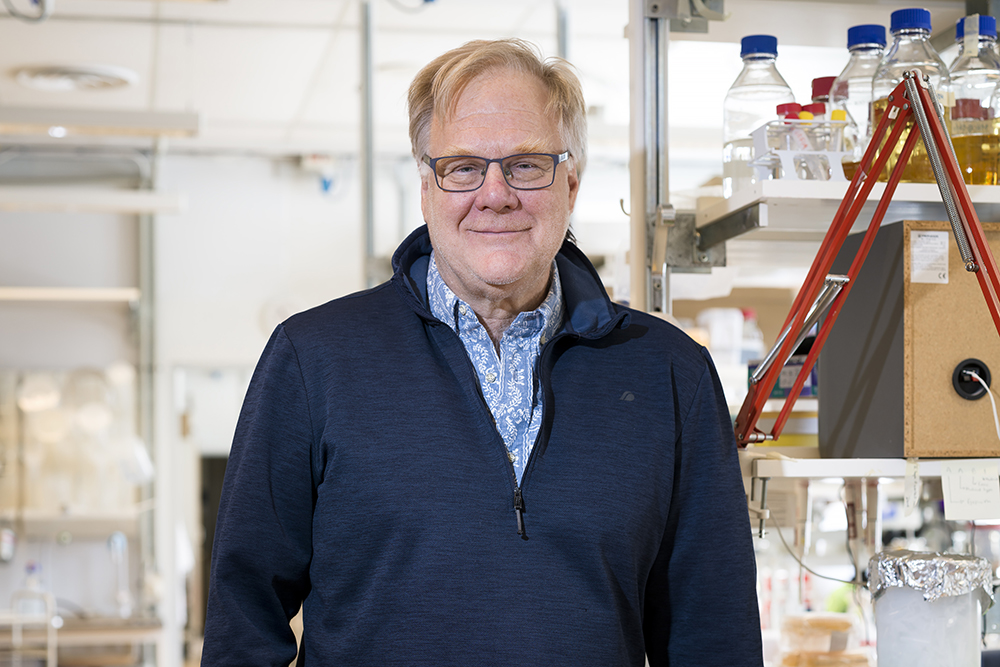 Dan I. Andersson, professor i medicinsk bakteriologi och föreståndare för Uppsala Antibiotic Center vid Uppsala universitet. Foto: Göran Ekeberg