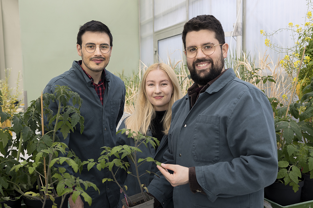 Bruno Rojas, postdoc vid KTH, Anna Karlsson, doktorand vid KTH och Alexis Brun, postdoc vid Umeå universitet. Foto: Lena Lee