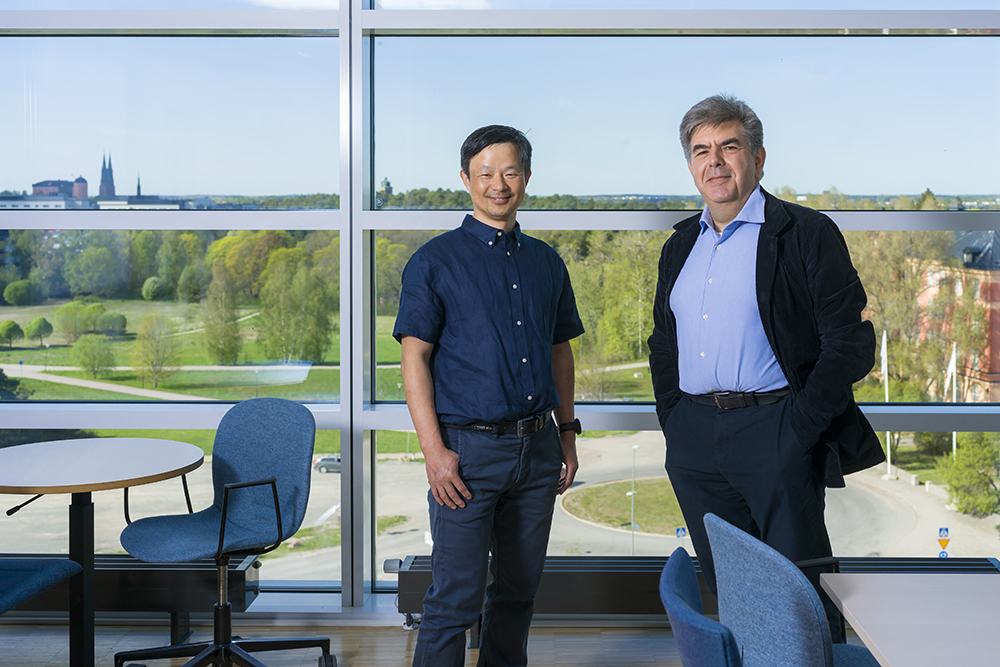 Zhibin Zhang, docent och Stefanos Kaxiras, professor vid Uppsala universitet. Foto: Göran Ekeberg