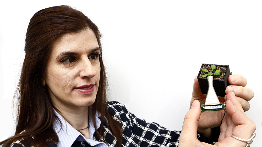 Eleni Stavrinidou, biträdande professor och forskningsledare på Laboratoriet för organisk elektronik vid Linköpings universitet. Foto: Peter Holgersson