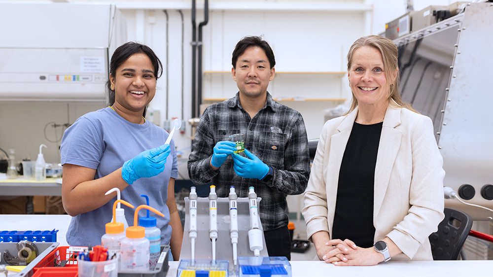 Sukanya Maity, postdoktor, Shun Kashiwaya, biträdande universitetslektor och Johanna Rosén, professor och avdelningschef på Linköpings universitet. Foto: Zandra Erikshed