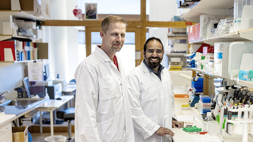 Ola Hansson, docent i funktionell genomik och Bilal Mir, postdoktor vid Lunds universitet. Foto: Peter Kroon