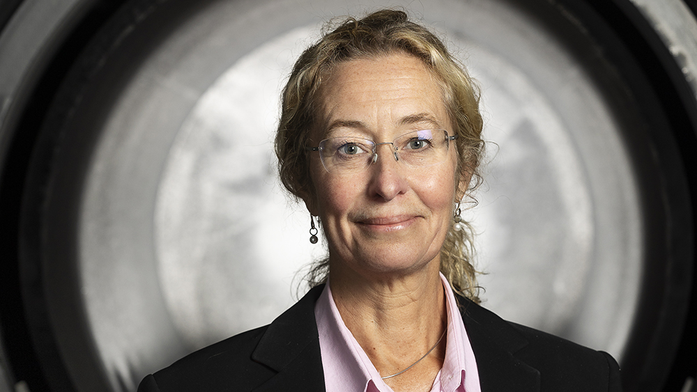 Susanne Norgren, chef för Sandviks vetenskapliga råd. Foto: Johan Marklund