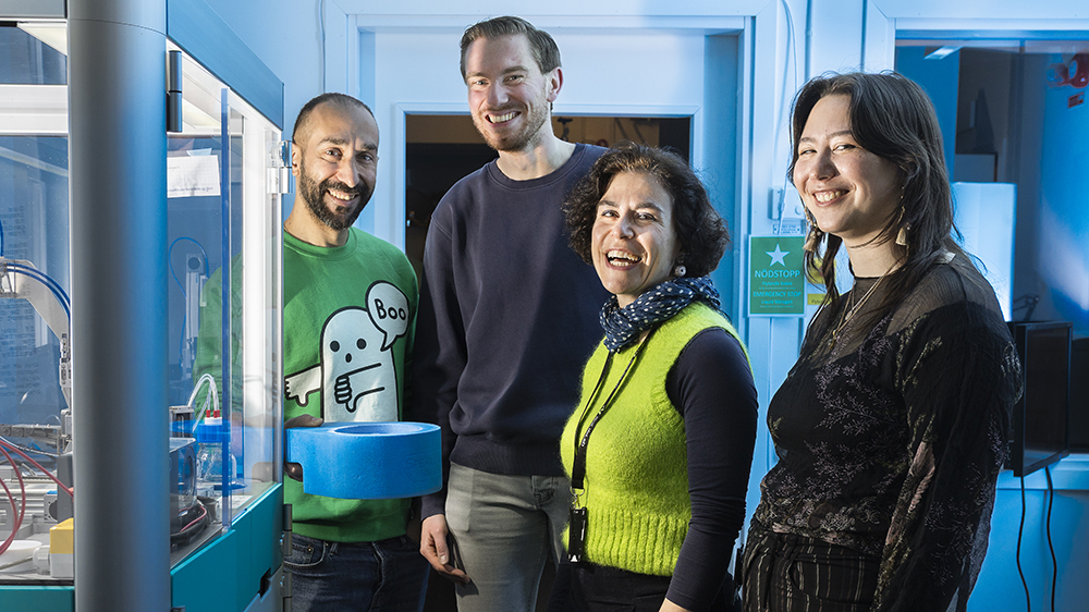 Stavros Azinas, Koen Jurgens, Marta Carroni och Lisa Engelhardt. Foto: Johan Marklund