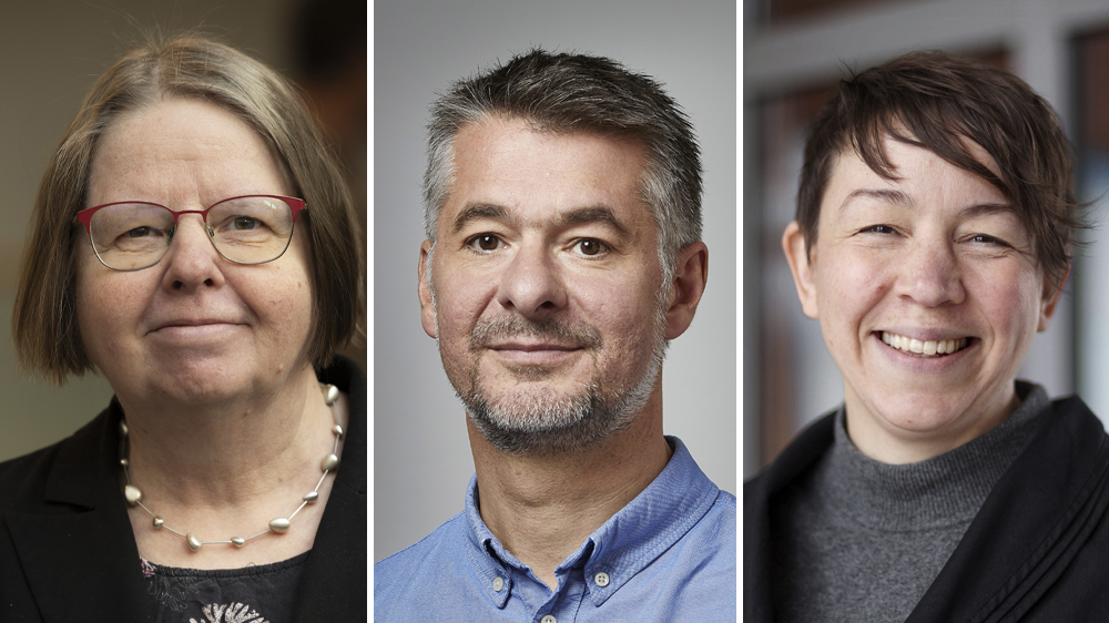 Kristina Edström, Uppsala universitet (Foto: Mikael Wallerstedt), Aleksandar Matic, Chalmers tekniska högskola (Foto: Anna-Lena Lundqvist) och Elna Heimdal Nilsson, Lunds universitet (Foto: Jenny Leyman).