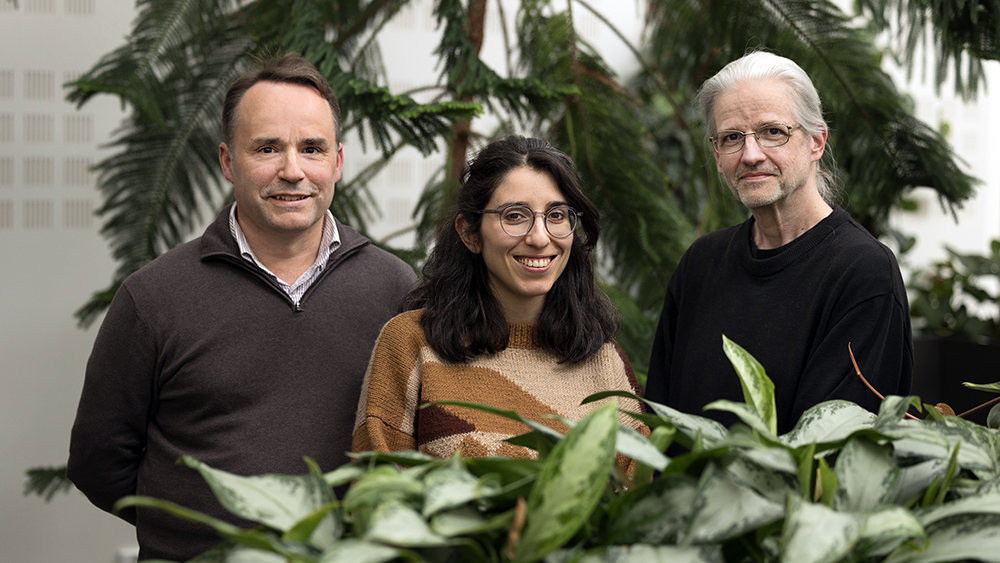 Johan Holmgren, postdoktorn Alice Penanhoat och Kenneth Olofssons arbete är en viktig pusselbit i det större projektet Landskapsförädling. Foto: Lena Lee